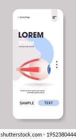 human eye icon internal organ structure detailed eyeball medical healthcare anatomy concept smartphone screen mobile app vertical copy space flat