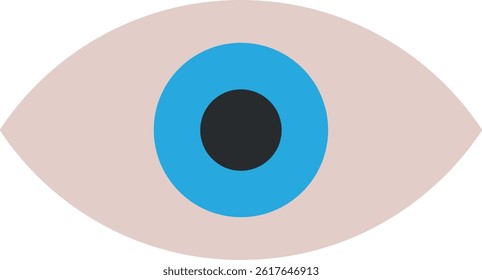 Human eye icon isolated on white background . Eye icon . Vector illustration