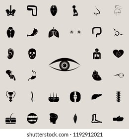 human eye icon. Human parts icons universal set for web and mobile