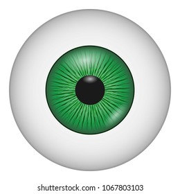 Human eye icon. Realistic illustration of human eye vector icon for web