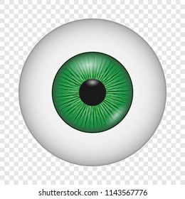 Human eye icon. Realistic illustration of human eye vector icon for on transparent background