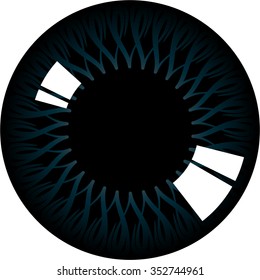 The human eye iris.