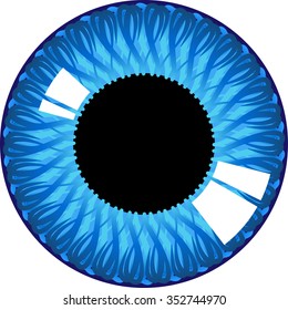 The human eye iris.