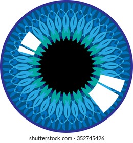 The human eye iris.
