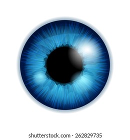 Human eye iris pupil isolated on white background - blue color.