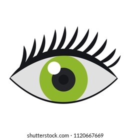 Human eye isolated