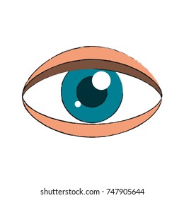 Human eye isolated
