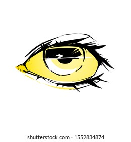 Human eye isolated on white background. Graphic vector illustration.