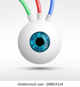 human eye isolated on white background