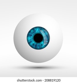 human eye isolated on white background