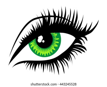 Human eye isolated on white photo-realistic vector illustration