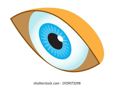 Human Eye Isometric Icon Vector. Isometric Medical Ophthalmologist Eyesight Sign. 3d Human Organ Symbol. Optical Eye.