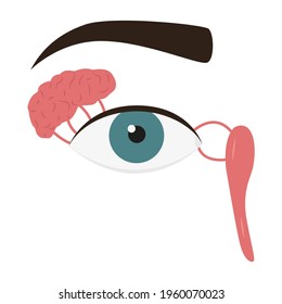 Human eye and lacrimal gland. Medical vector illustration