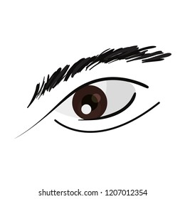 human eye on white background