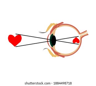 Ojo humano sobre un fondo blanco. Percepción invertida. Ilustración vectorial.