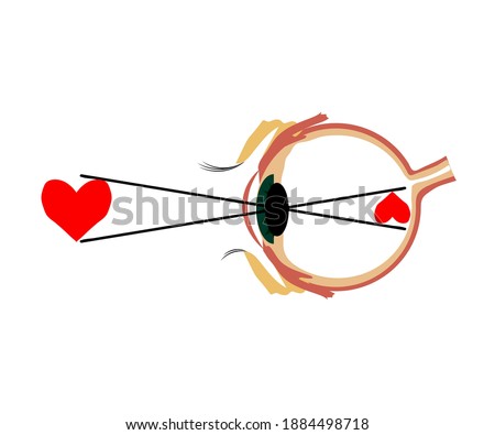 Human eye on a white background. Inverted perception. Vector illustration.