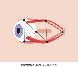 Ojo humano y nervio óptico. Ilustrador anatómico de vectores planos. Tecnologías modernas, exploración de órganos. Béisbol y eyelet aislados