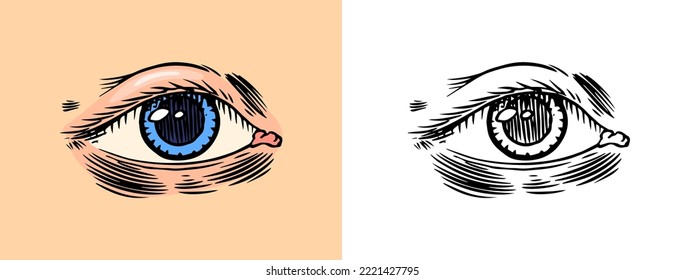 Human eye. Organs anatomy illustration. Biology. Engraved hand drawn in old sketch and vintage style. Face detailed or view or look.