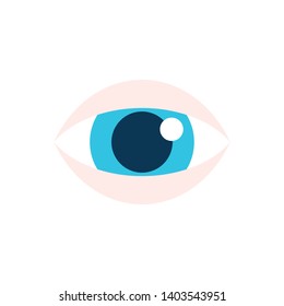 The Human Eye and Sight