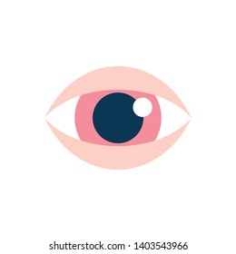 The Human Eye and Sight