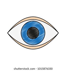 Human eye symbol icon vector illustration graphic design