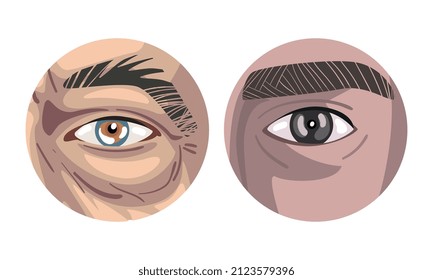 Human Eye of Various Color with Brow Curve and Skin Circle View Vector Set