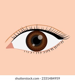 Vector de ojo humano, ojo marrón asiático sobre fondo pastel 
