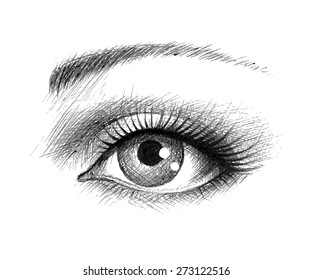 Human eye - vector illustration