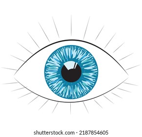 Human eye. Vector illustration isolated on white background.