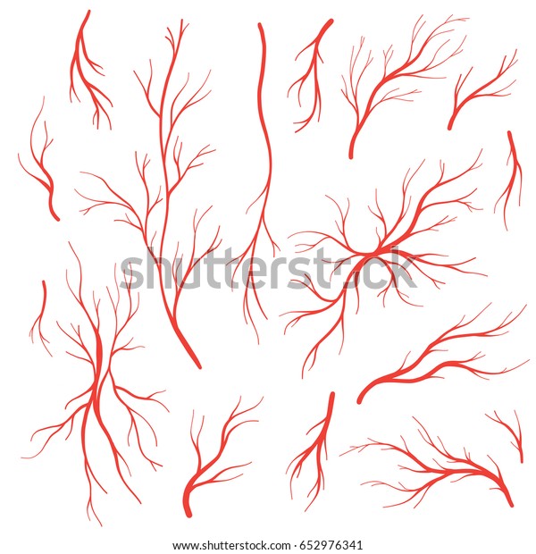 人間の目の静脈 動脈 赤血管 白い背景に血管系のベクター画像セット タトゥーシールコレクション のベクター画像素材 ロイヤリティフリー