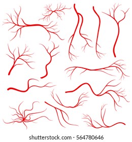 Human eye veins, vessel, blood arteries isolated on white vector. Set of blood veins, image of health red veins illustration.