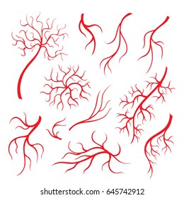 Human Eye Veins Or Vessel, Red Capillaries, Blood Arteries Isolated Set