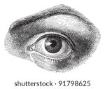 Human eye - Vintage illustration from Meyers Konversations-Lexikon 1897