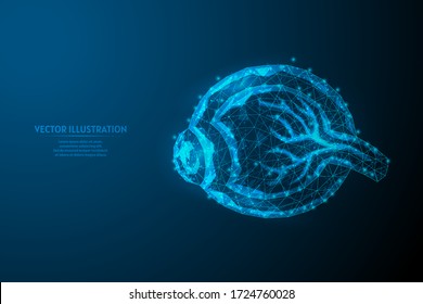 Human eyeball close up. Anatomy of the eye organ. Cornea, veins, muscles. The concept of vision, vision, health. Innovative medicine and technology. 3d low poly wireframe isolated vector illustration.