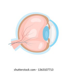 Human eyeball color vector icon. Flat design