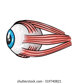 Human eyeball icon in cartoon style isolated on white background. Human organs symbol stock vector illustration.