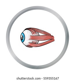 Human eyeball icon in cartoon style isolated on white background. Human organs symbol stock vector illustration.