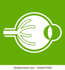 Human eyeball icon white isolated on green background. Vector illustration
