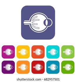 Human eyeball icons set vector illustration in flat style in colors red, blue, green, and other