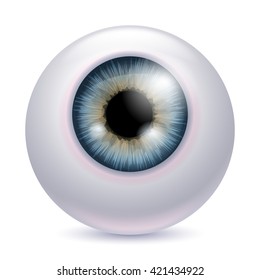 Human eyeball iris pupil isolated on white background - gray color. Gray eye realistic vector illustration.