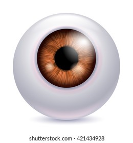 Human eyeball iris pupil isolated on white background - Brown color. Brown eye realistic vector illustration.