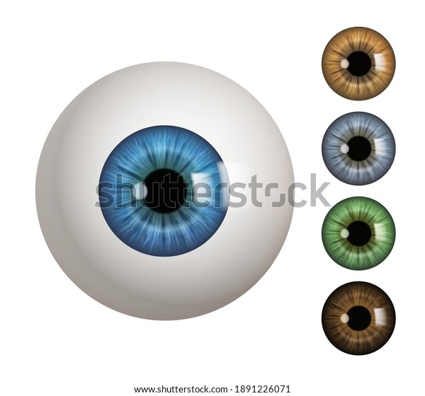 169,724 Pupil Stock Vectors, Images & Vector Art | Shutterstock
