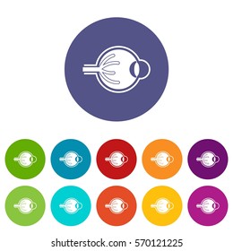Human eyeball set icons in different colors isolated on white background