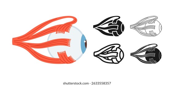 Human eyeball symbol set. Anatomical structure of the eye muscles symbol white background. Drawing human organ of vision structure for medical infographic, children simple design vector illustration