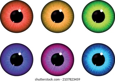 Human eyeballs iris pupils set isolated on white background Colorful eyes realistic vector illustration.