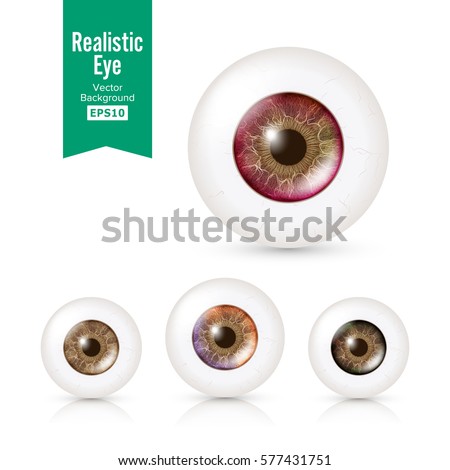Human Eyeballs Set With Big Irises In Colour. Vector Illustration Of 3d Glossy Detailed Eye With Shadow And Reflection. Cornea. Front View. Isolated On White Background.