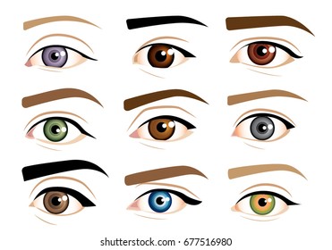 Human Eyes Stock Vector (Royalty Free) 677516980 | Shutterstock