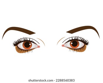 Human Eyes, beautiful close-up shot of woman eye