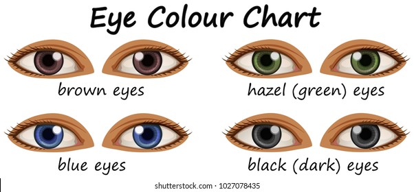 Brown Eye Colour Chart