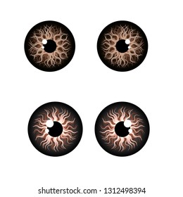 Human eyes on the white background